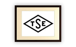 TSE