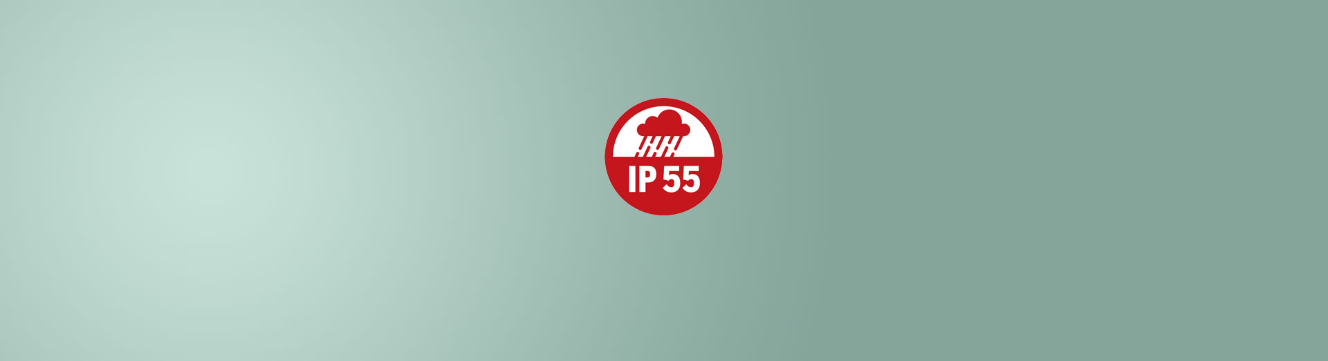 IP55