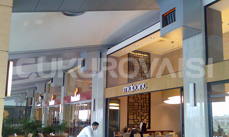 robur8