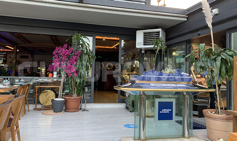 sh-cafe-9
