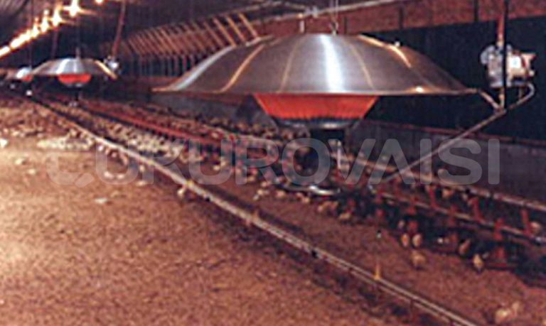 space-ray-2